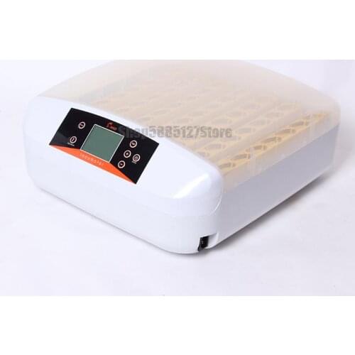 Incubator Chicken Small Household Full Automatic Hhd Incubator Mini Incubator Quail Bird Egg Incubator