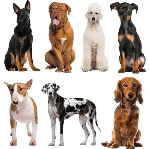 Three Ratels QC388 HD pixel dog sticker Waterproof Vinyl auto Wrap for car hood laptop home decora decals