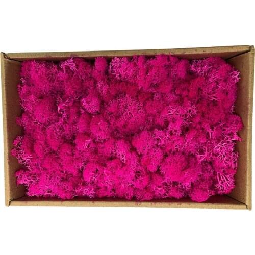 200g Natural High Quality Dried Grass DIY Materials Handmade Giftbox Newyear Wedding Home Deocration Multicolors Preserved Moss