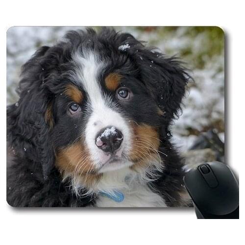 Cute Dogs,Dog Puppy Pet Canine Cute Animal Purebred,dogs mouse mat