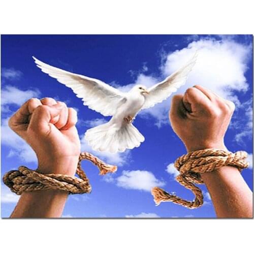 Full square/circular drill Dove 5D DIY Diamond Painting Freedom of release Diamond Embroidery Cross Stitch mosaic kit L60