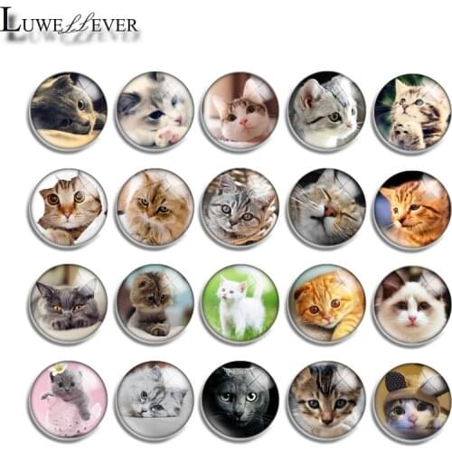 12mm 14mm 16mm 20mm 25mm 30mm 573 Cute Cat Mix Round Glass Cabochon Jewelry Finding 18mm Snap Button Charm Bracelet