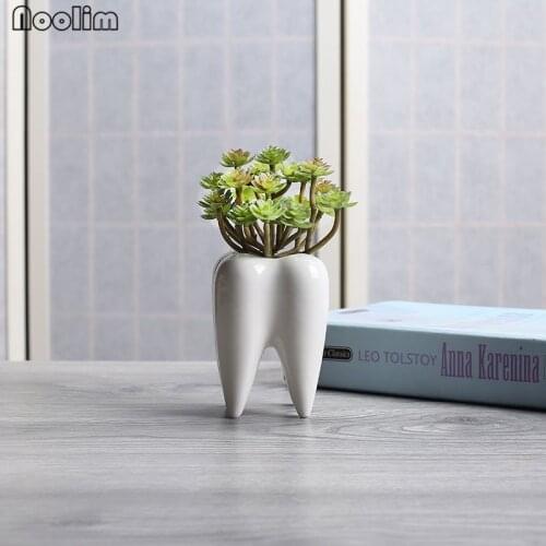 NOOLIM I pc Tooth Shape White Ceramic Flower Pot Modern Design Planter Teeth Model Mini Desktop Pot Creative Gift Home decor