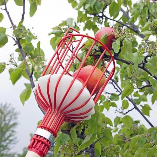 Metal Fruit Picker Fruits Collection Picking Head Tool Gardening Apples Pears Peaches Oranges Fruits Catcher Garden Tools