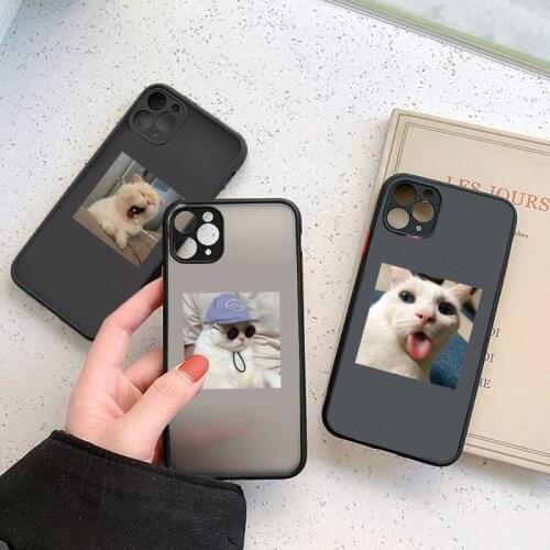 Cute Cat Phone Case For iphone 12 11 7 8 plus mini x xs xr pro max matte transparent cover