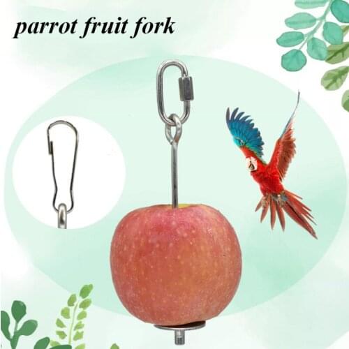 Parrots Feeder Stick Pet Bird Food Holder Stainless Steel Support New Fruit Spear Stick Meat Fruit Vegetable Skewer Feeder Stick