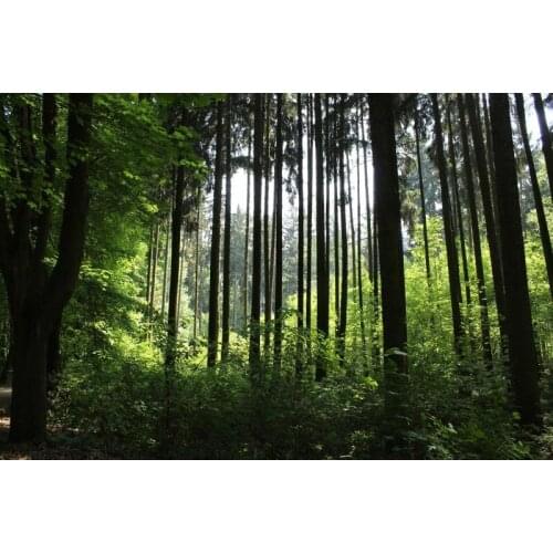 Custom size wallpaper mural background wall decoration painting