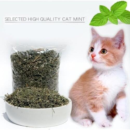 50g Catnip Natural Cat Toys Catmint Fresh Breath Clean Sleeping Fragrant The Catnip Good Mouth U3A1