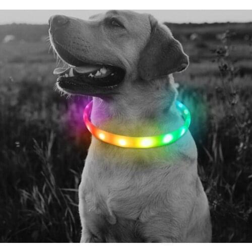 Led Usb Dog Collar Pet Dog Collar Night Dog Collars Glowing Luminous Rechargeable LED Night Safety Flashing Glow NEWEST