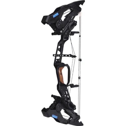 Bow and arrow new K brand Raptor dual purpose compound bow shooting archery sport non predator