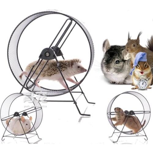 Metal silent running wheel 25cm dragon cat hedgehog not stuck squirrel running wheel oversized 32cm earth dial rat running wheel