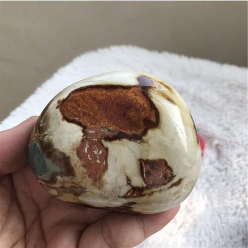 Natural stone Marine palm healing crystals Decorative collection stones and crystals