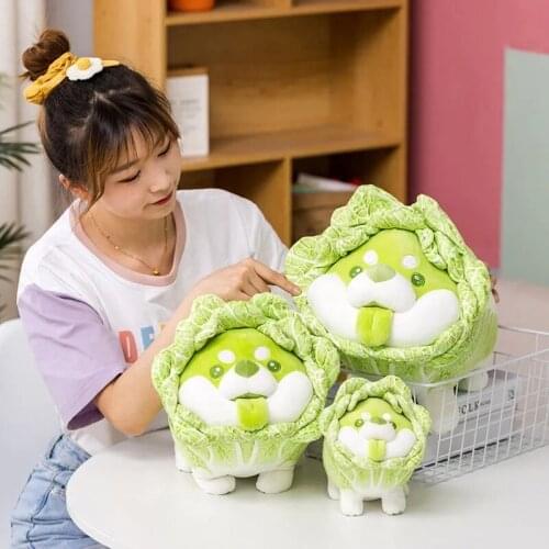 20-50cm Cute Japanese Vegetable Dog Plush Toys Creative Chinese Cabbage Shiba Inu Pillow Stuffed Animal Sofa Cushion Baby Gifts
