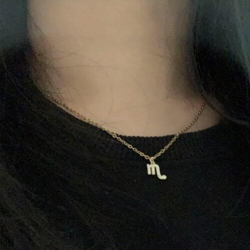 Simple Small Micro Pave CZ 12 Zodiac Constellations Charm Necklace Fashion Gold Color Leo Stainless Steel Chain Choker Jewelry