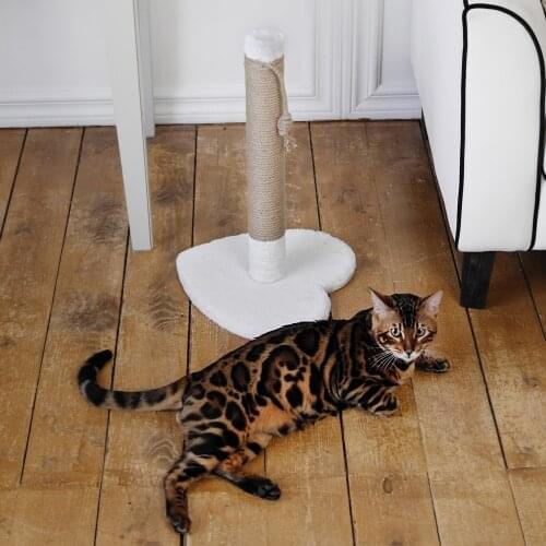 MERRYGREEN Cat Scratching Posts