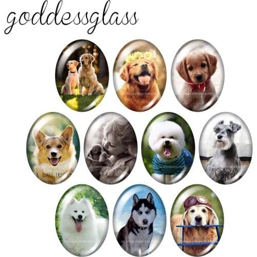 Lovely Dogs Love Pet animals 10pcs mixed 13x18mm/18x25mm/30x40mm Oval photo glass cabochon demo flat back Making findings TB0027