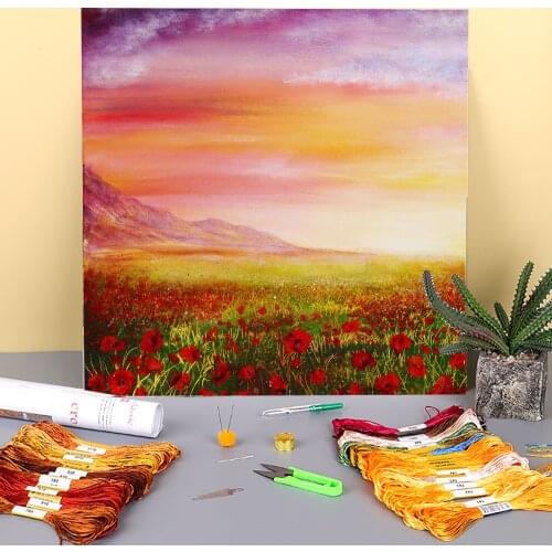 Natural Scenery Poppy Meadow Printed Water-Soluble Canvas 11CT Cross-Stitch Complete Kit Embroidery DMC Threads Package