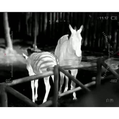 Long Range Detection multi functions infrared camera thermal imager