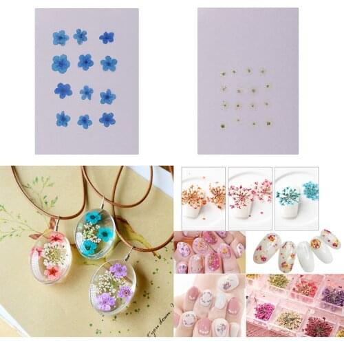 12 Pieces Real Dried Flower Forget-me-not for DIY Resin Casting Ornament Candle Making Decoration Blue White
