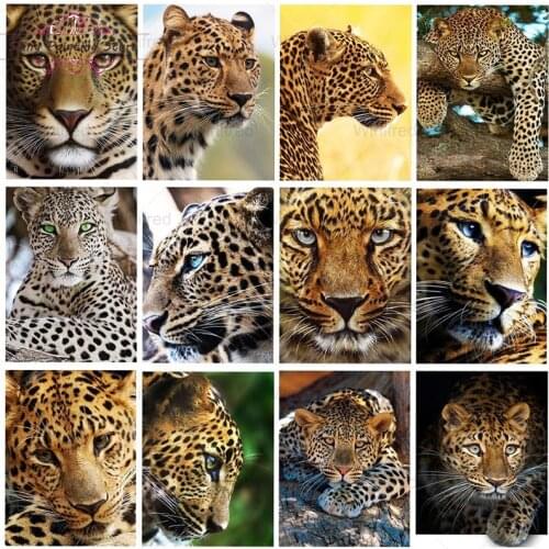 5D DIY Diamond Painting Animal Leopard Diamond Embroidery Full Square Round Diamond Mosaic Rhinestone Picture Home Decoration