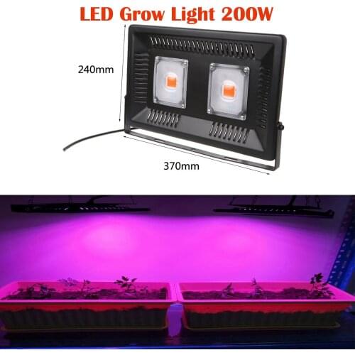 HANGYUE Phytolamps For Plants