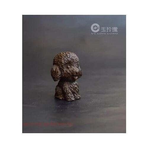 Lovely copper Mini Teddy dog accessories