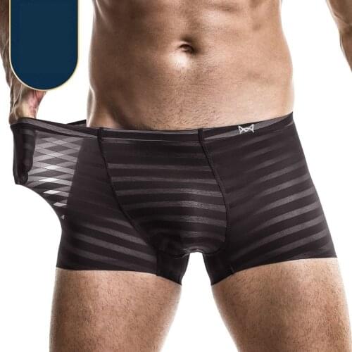 Mens Boxers Sexy Gay Underwear Thin Transparent Panties Man Seamless Penis Ice Silk Pouch Underpants Male Innerwear Plus Size
