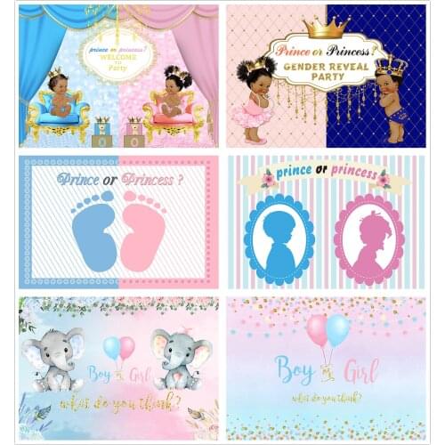 Gender Reveal Prince or Princess Photography Background Newborn Party Baby Girl or Boy Curtain Decoration Photo Backdrop Props
