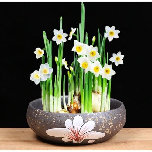 Rural Hydroponic Flowerpot Daffodil Pot Ceramic Household Water Culture Bowl Lotus Succulent Large Bonsai Basin