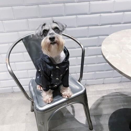 Bat Eyes Printing Puppy Raincoat for Dogs Waterproof Cartoon Jacket for Cat Hooded Pet Schnauzer French Bulldog Rainsuit PC0092