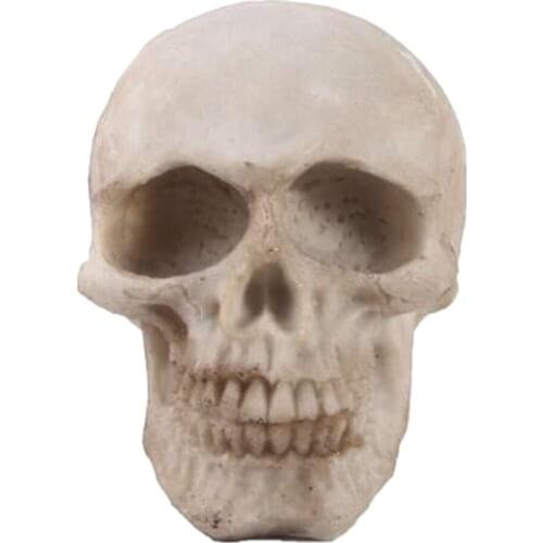 1:1 Mini Realistic Replica Human Skull Resin Skull Skeleton