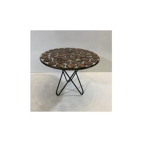Log Wood Epoxy Medium Coffee Table