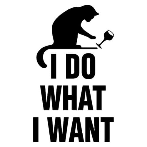 Dawasaru I Do What I Want Personality Car Sticker Waterproof Decal Laptop Suitcase Motorcycle Auto Decoration PVC,13cm*7cm