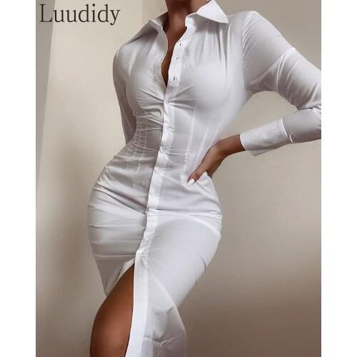 Women Turn-Down Collar Button Design Long Sleeve Skinny Shirt Dress