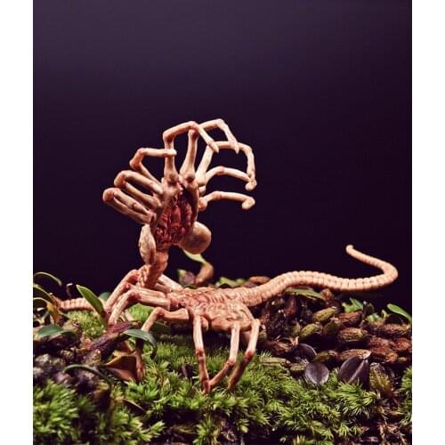 1/6 Predator Alien Facehugger Model FG028 For 12 Inch Action Figure Scene Accessories