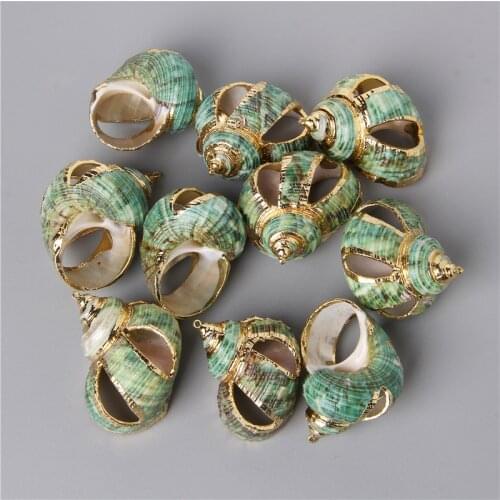 Natural Green Hollow out Shell Charms Conch Cowrie Sea Shells Pendant Charm for DIY Jewelry Making Necklaces Bracelets Earrings