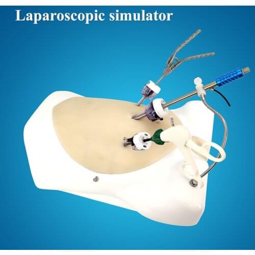 Laparoscopic simulator,laparoscopic training simulator,Soft abdomen, high degree of simulation