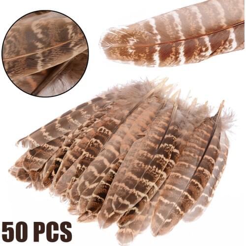50pcs/Set 10-15cm Natural Feather Hen Pheasant Tail Feathers DIY Craft Material Decorating Accessories for Clothing Hat Shoes