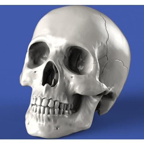 1/35 Resin Model figure GK Soldier SKULLS Military theme of WWII Unassembled and unpainted kit