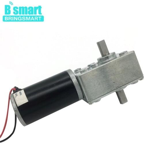 Bringsmart 12V Electric Gear Motor Double Shaft 24V DC Worm Motor High Torque Reducter Reversed Gearbox Engine Motor A58SW31ZYS
