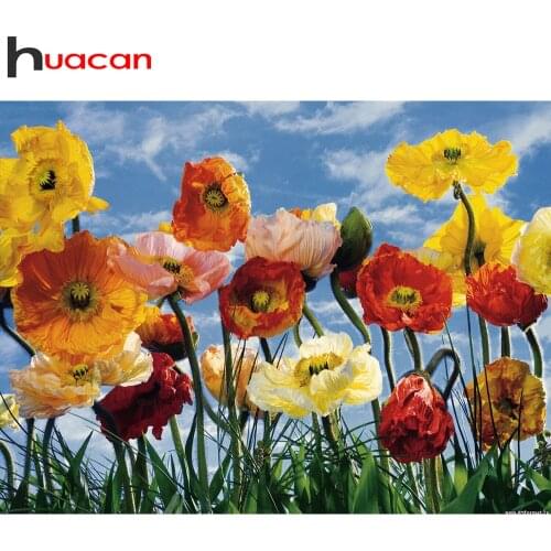 Huacan Diamond Painting Cross Stitch Poppy Flower Home Decor Embroidery Mosaic Floral Diamond Art