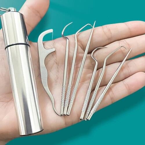 1 Set Toothpick Eco-friendly Rust-proof Stainless Steel Toothpick Set with Storage Box for Home