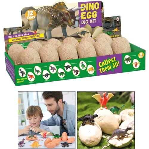 DINO EGG Digging KIT 12 DINOSAUR PALEONTOLOGY SCIENCE LEARNING TOYS MODEL AGE 5