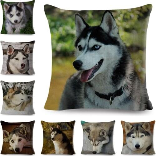 Siberian Husky Pillow Case Decor Cute Pet Dog Animal Cushion Cover for Sofa Home Chidren Room Polyester Pillowcase 45*45cm
