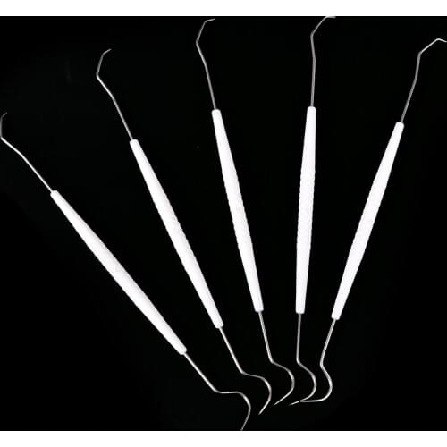Stainless Steel One-time Temporary Double Hook Tooth Dental Explorer Dentalist Probe Materials Dentist Tool Set 10PCS