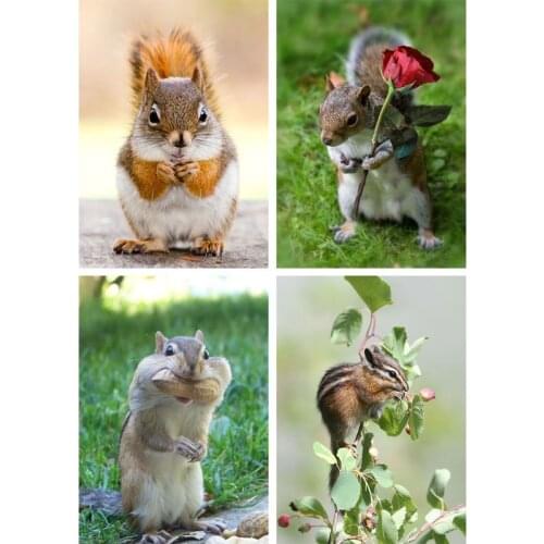New 4 Pack Squirrel 5D DIY Diamond Painting Kits Full Drill Rhinestone Embroidery Cross Stitch Home Decor