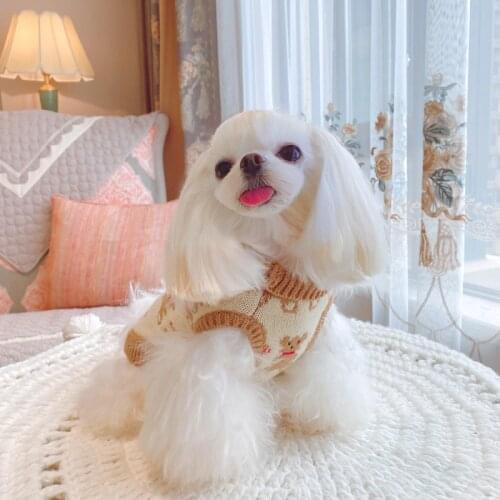 Cat Dog Sweater Cute Cartoon Pet Coat Winter Dog Clothes Chihuahua Yorkshire Maltese Pomeranian Poodle Bichon Schnauzer Costume