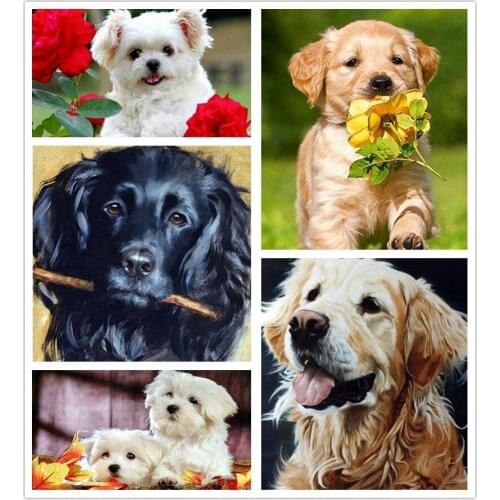 Full Round Diamond 5D DIY Diamond Embroidery Golden Retriever Diamond Painting Cross Stitch Maltese Dog Rhinestone Home Decor