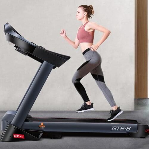 Electric Treadmill Indoor Household Small and Medium-sized Folding Ultra-Quiet Gym Large Equipment Treadmill
