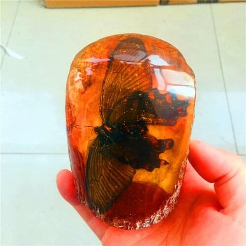 10cm Natural Amber Crystal Stone Beeswax Raw Insect Display Scorpion Butterfly Cicada Ball Home Decor Feng Shui Decoration